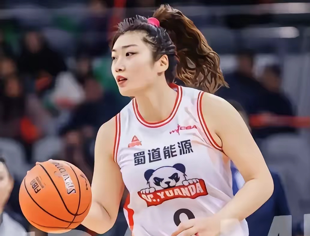 包含米兰体育：WCBA全明星：星光璀璨，展现中国女篮的魅力的词条